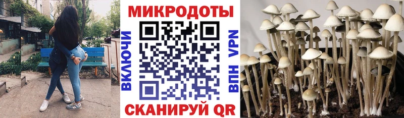 как найти закладки  Зуевка  ссылка на мегу ССЫЛКА  Галлюциногенные грибы ЛСД 